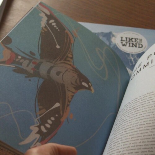 Surreal red kite art by Engine Head Studio Printed illustration by Engine Head Studio